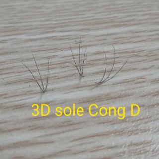 Mi sole 3D- mi thiết kế