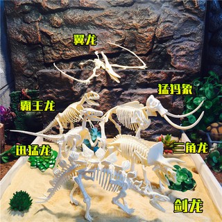 Mô Hình Sọ hóa thạch 3d cực đẹp trang trí Hồ cá - Vật nuôi - Trưng bày