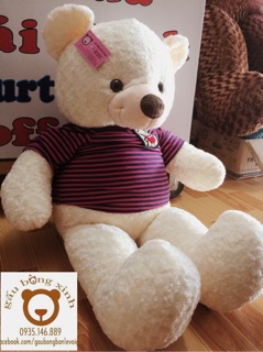 Gấu bông Teddy khổ 1m2