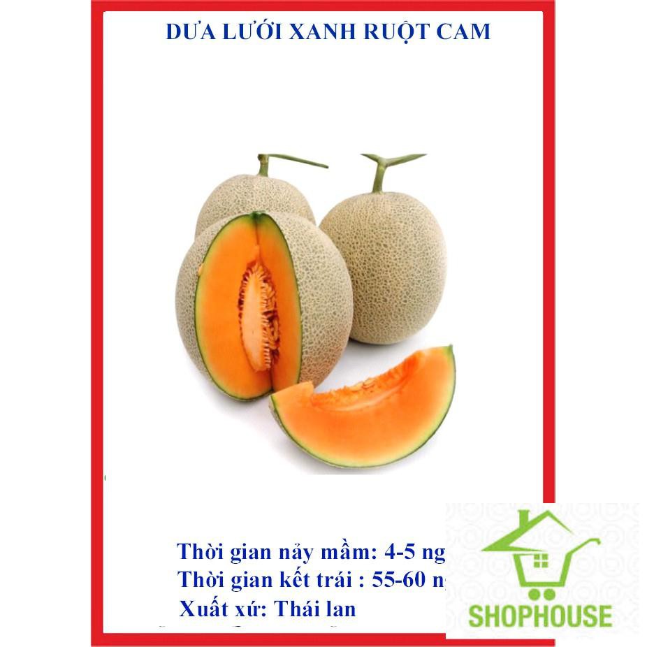 shophouse 20 hạt giống dưa lưới xanh ruột cam  SHOP HOUSE  TẾT KHUYẾN MẠI