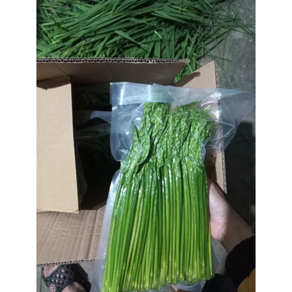 3kg đòng đòng nếp