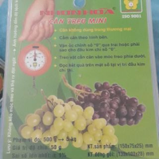 Cân treo mini 5kg Nhơn Hòa