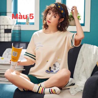 Combo 5 bộ đồ 830k