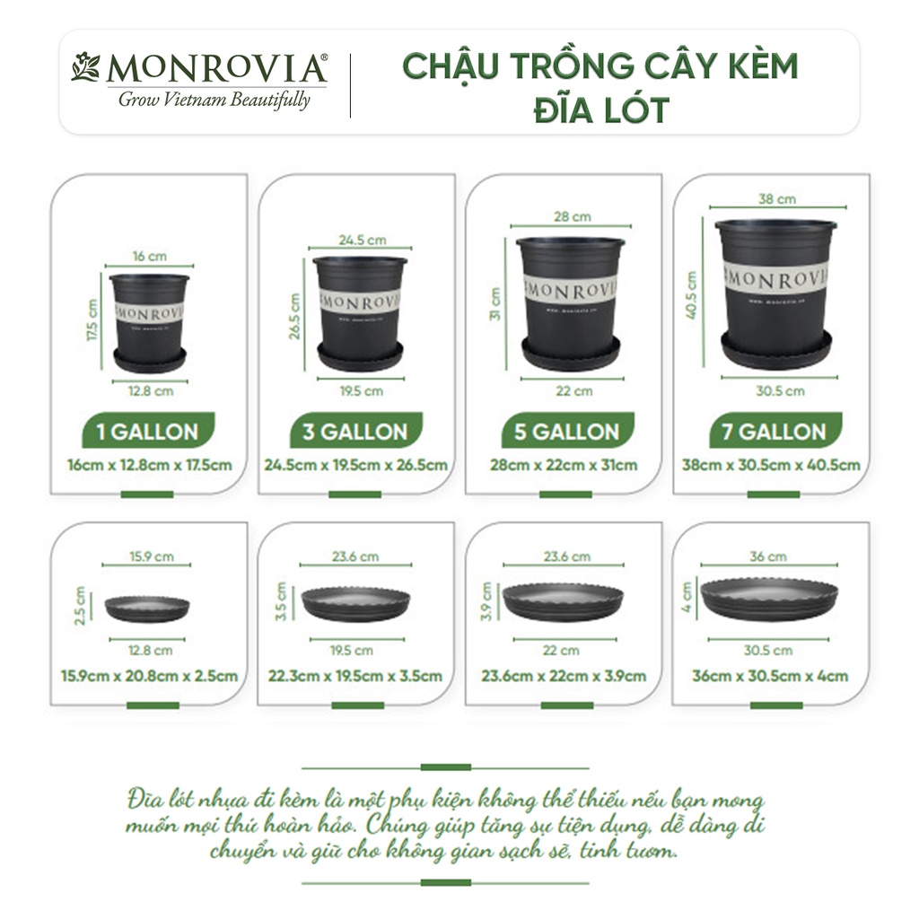 Chậu trồng cây MONROVIA màu đen, kèm đĩa lót, cây cảnh mini, trồng rau, hoa, để bàn, treo ban công, nhập khẩu