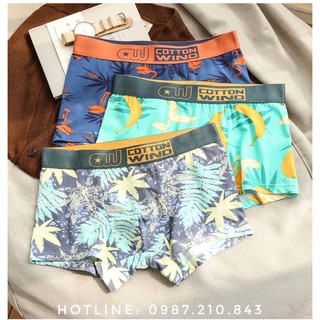 Quần lót đôi Cotton Wind siêu đẹp