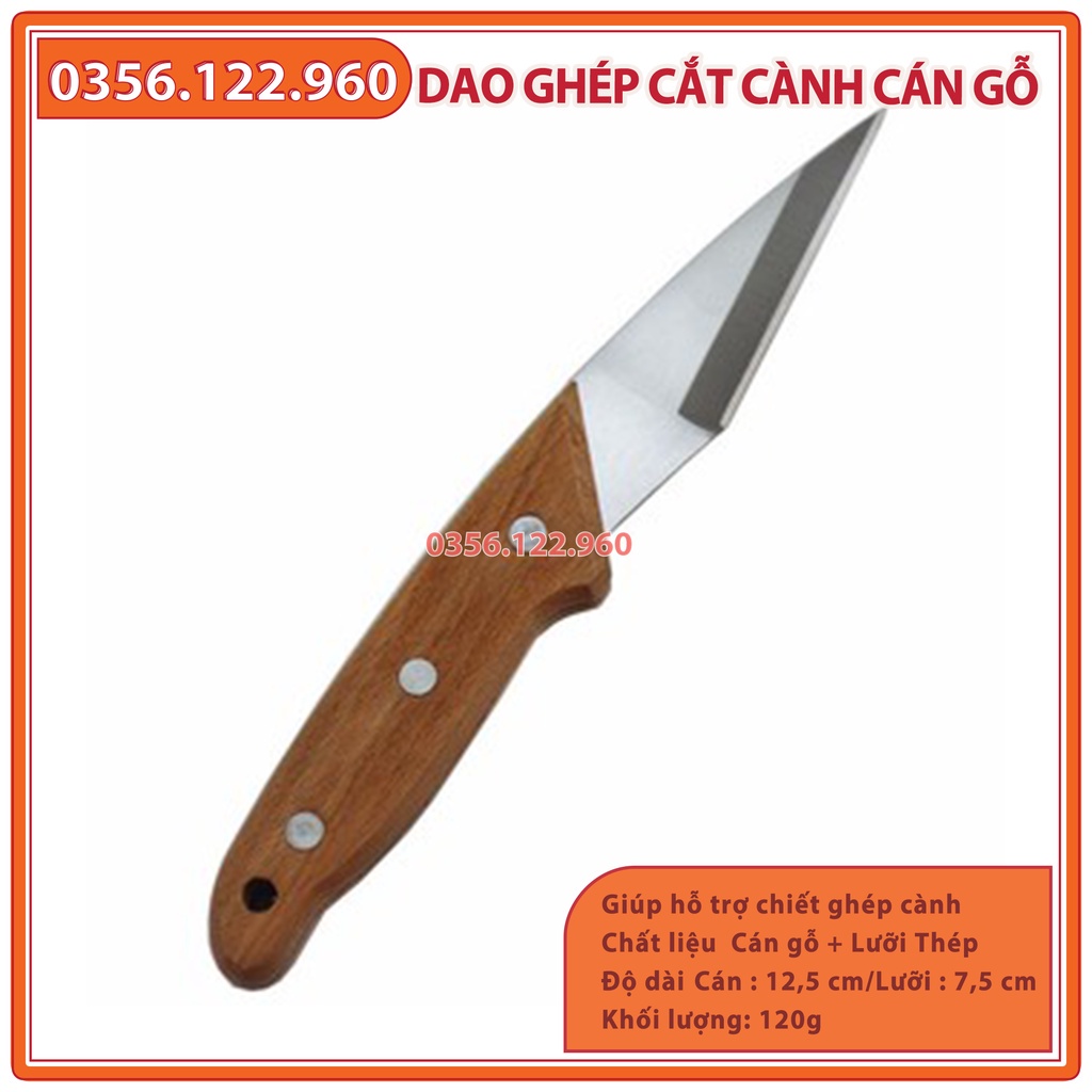 Dao chiết ghép cành cán gỗ