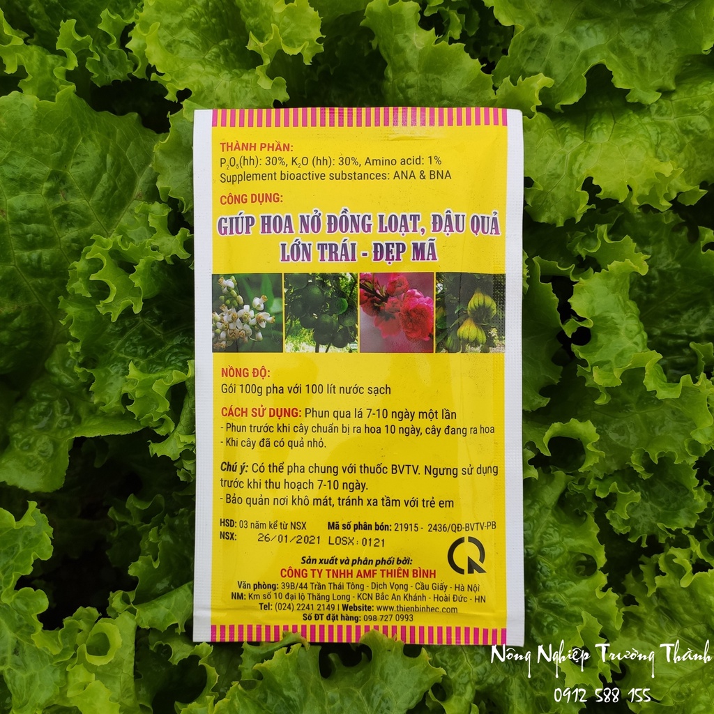 Kích Mầm Hoa Cực Mạnh ABA Thiên Bình