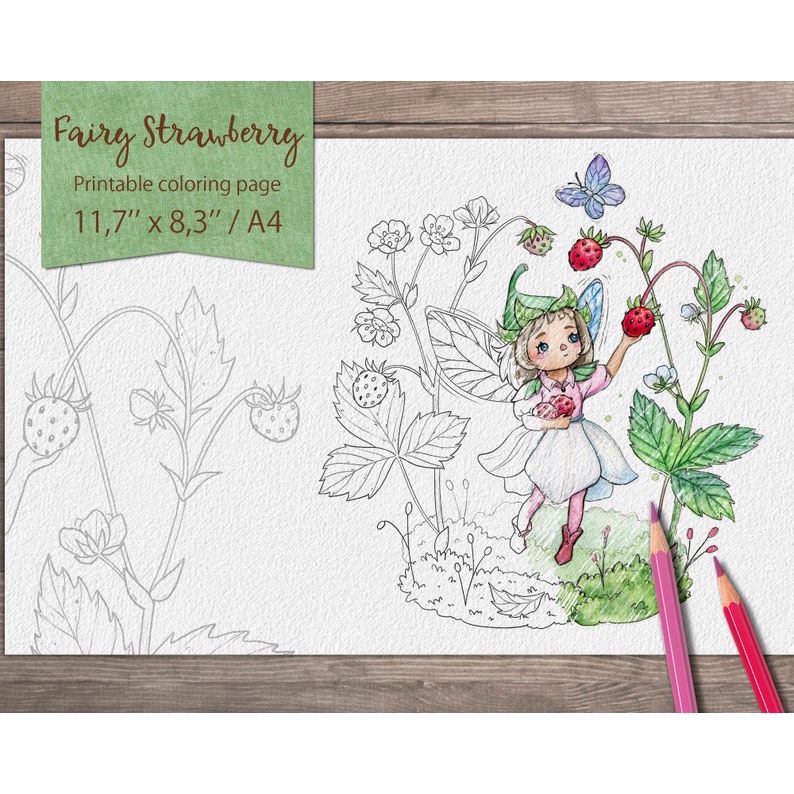 Line art tranh tô màu combo 5tranh giấy dầy đẹp