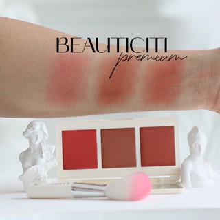 BẢNG PHẤN MÁ HỒNG 3 Ô KAXIER SIÊU XINH ( KÈM CỌ )