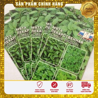 HẠT GIỐNG BẠC HÀ MINT (LUCKY SEED)