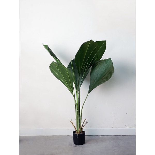 Cây cọ nhật giả 110cm - 130cm- 160cm. Cây cảnh giả trang trí nhà cửa