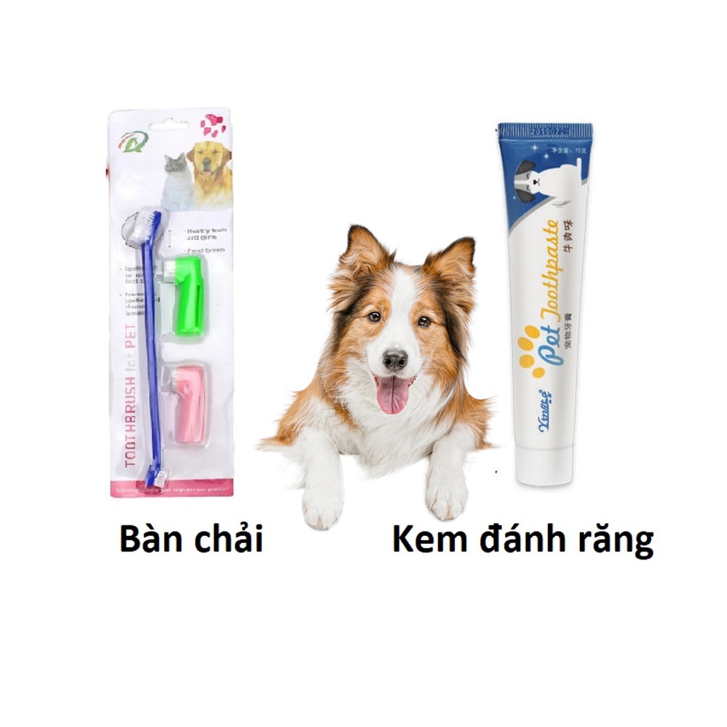 Bàn chải răng Kem đánh răng cho chó pet tooth giúp chó thơm miệng