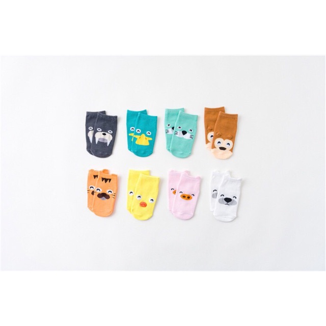 Tất kids socks cho bé