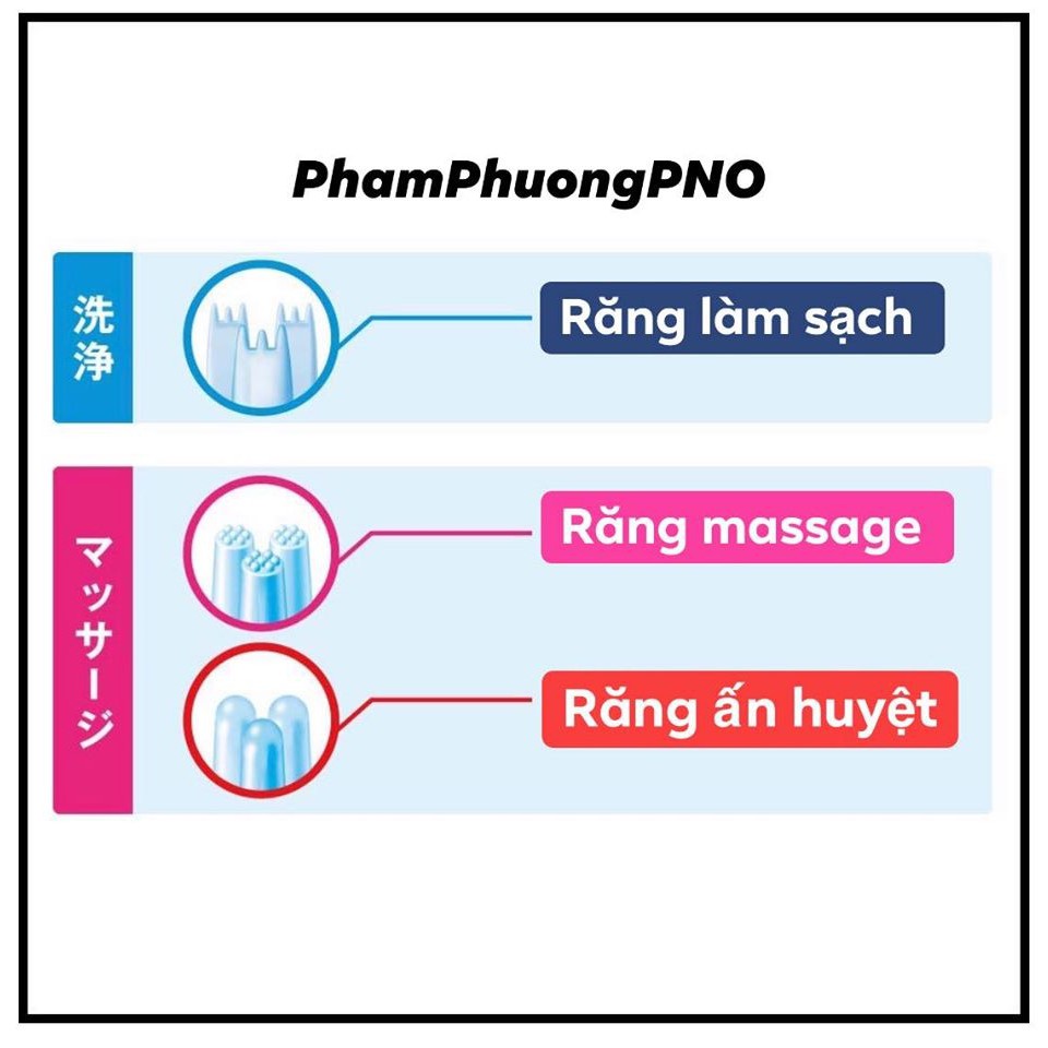 Lược gội đầu massage Success - Nhật Bản