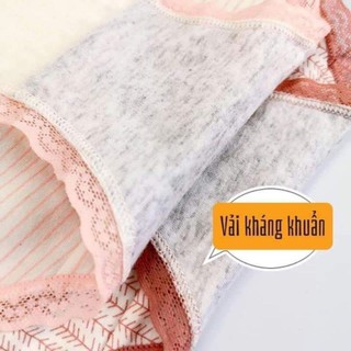 quần chíp cho chị em