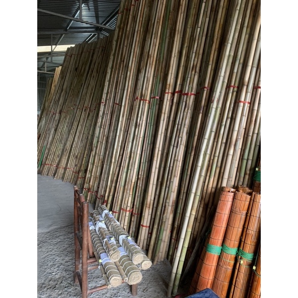 Tre trúc bè giáo công trình, tre trúc 4m