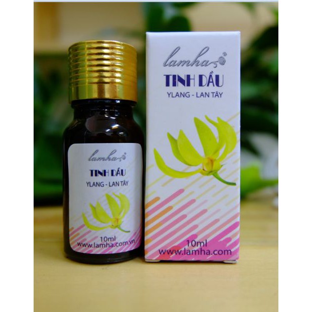 Tinh dầu lan tây LamHa