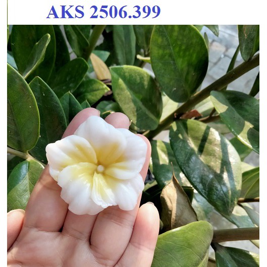 KHUÔN SILICONE HOA SỨ (2506.330)