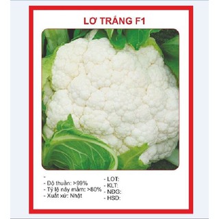Hạt giống súp lơ trắng bông cải trắng 0,2 gr - hgt