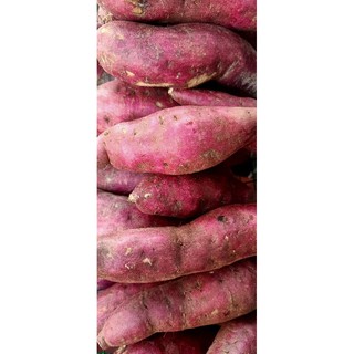 Khoai lang Nhật tươi 1kg