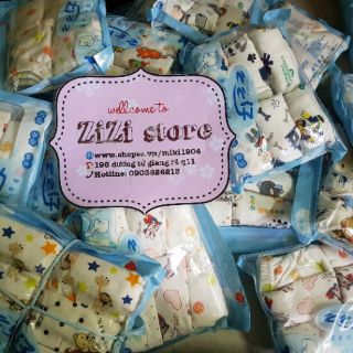 Set 6 Quần chíp đùi bé gái