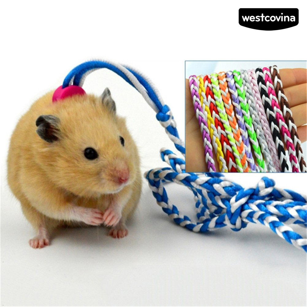 Dây Dắt Thú Cưng Đi Dạo Cỡ Nhỏ 1.4 / 2m