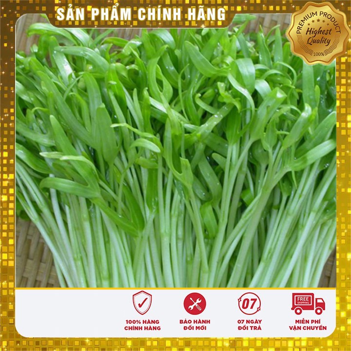 Hạt Giống Mầm Rau Muống ( 50 gram )