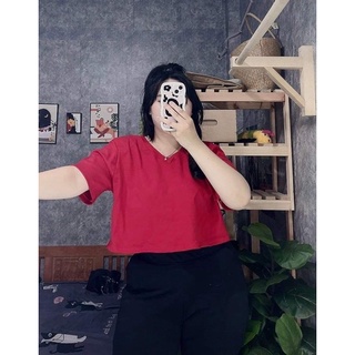 Áo cổ tim bigsize 65-95kg