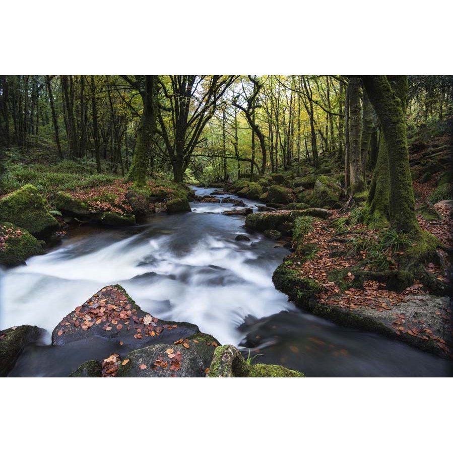 Tranh 3D phong cảnh thác nước chảy, sông suối nên thơ