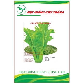 Hạt giống rau cải mèo cao sản - 1 gói 10gram