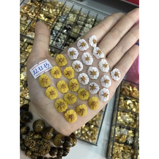 Hoa hướng dương ôm móng