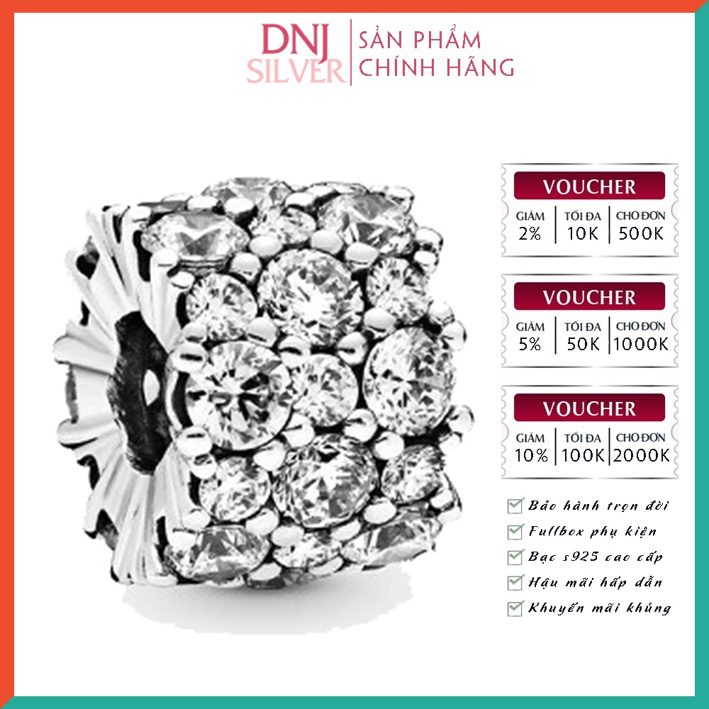 Charm bạc 925 cao cấp, bộ tổng hợp các mẫu charm bạc DNJ để mix vòng charm - Bộ sản phẩm từ DN1 đến DN16