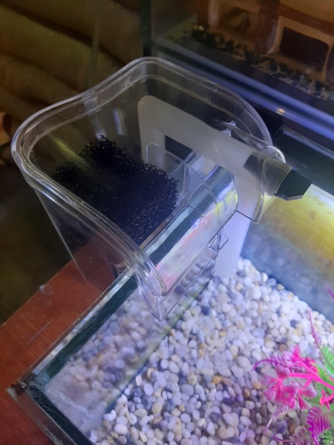 Bể cá dài 36cm rông 20 cao 20 cm đầy đủ phụ kiện máy lọc đèn led 30cm cây rong