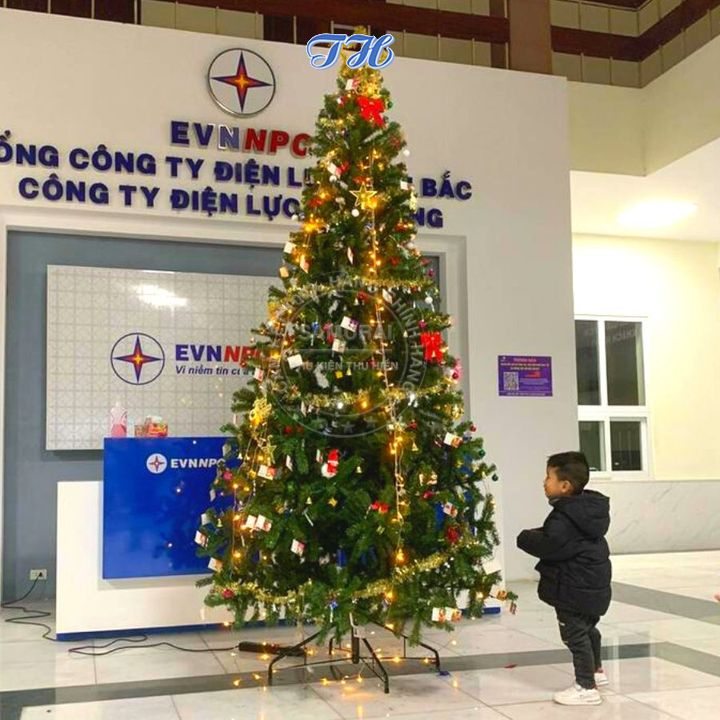 Cây thông noel 3m đầu tròn 10' trang trí phòng khách, phòng ngủ, ngoài trời đầy đủ phụ kiện mùa giáng sinh (Hình Thật)