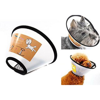 Loa chống liếm bôi thuốc cho chó mèo giá rẻ