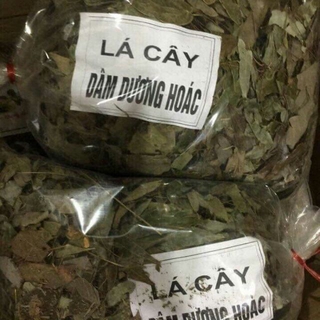 Lá dâm dương hoắc khô chuẩn rừng