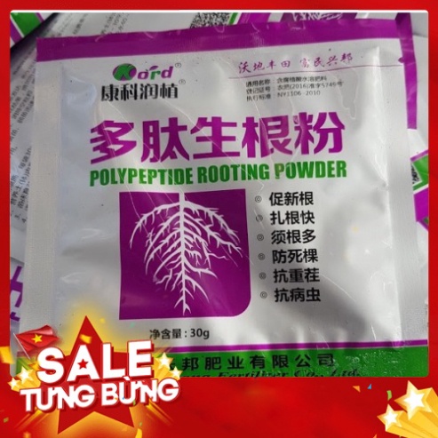 Thuốc kích rễ cho sen đá, xương rồng 🌺 |FREESHIP| 🔥 HÀNG CHẤT LƯỢNG❤ LỖI 1 ĐỔI 1