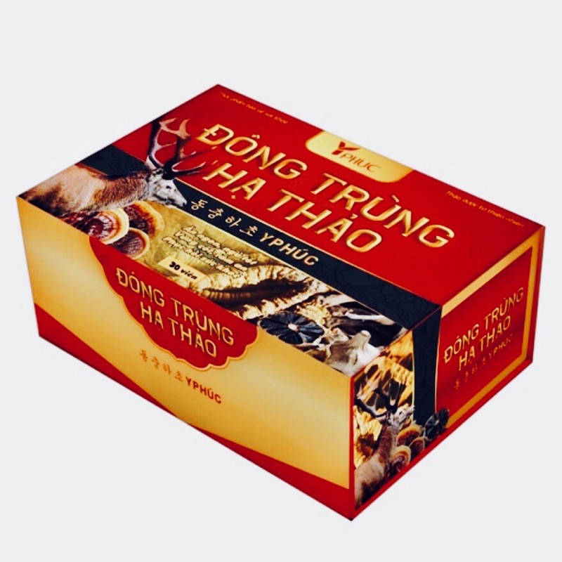Viên uống  đông trùng hạ thảo  Y PHÚC- Giúp tăng sức đề kháng, ăn ngon ngủ tốt, bồi bổ khí huyết, phục hồi sức khoẻ | BigBuy360 - bigbuy360.vn