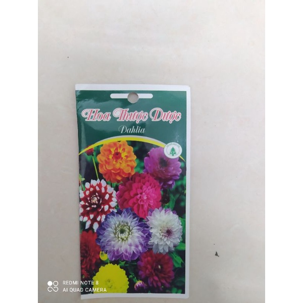 Hạt giống hoa Thược Dược cơ sở Cao Phi - Đà Lạt