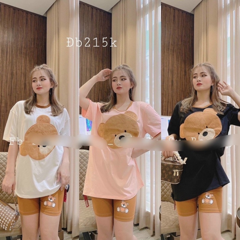 Bộ gấu cotton lửng Set gấu áo thun kèm quần sooc in gấu