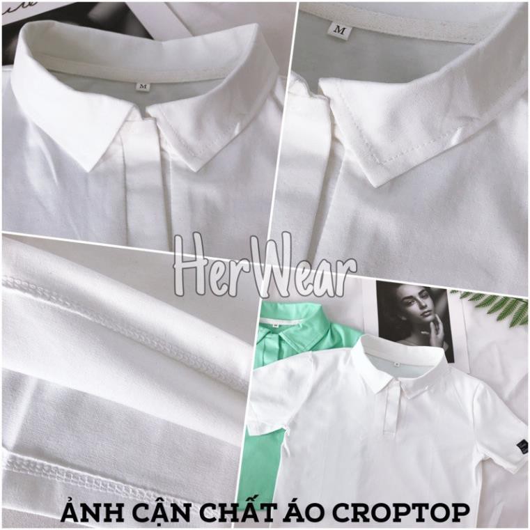 [HÀNG BÁN SHOP] Áo croptop nữ Polo cổ bẻ, dáng ôm nhẹ chất cotton co dãn thoáng mát. 💖 '