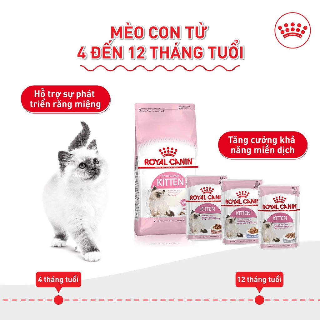 Hạt cho mèo nhỏ Royal canin kitten 2kg, thức ăn khô mèo con sơ sinh dưới 12 tháng tuổi Con Mèo Xiêm