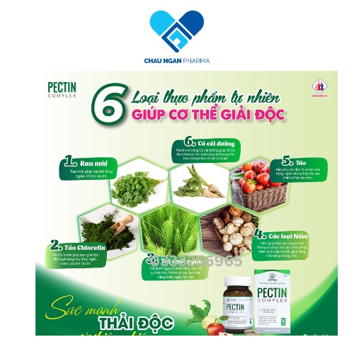 VIÊN UỐNG GIẢI ĐỘC CÁC KIM LOẠI NẶNG CHÌ -PB PECTIN COMPLEX CHAI 60 VIÊN - DMC