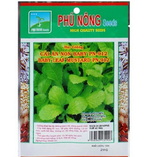 Hạt giống cải ăn non baby