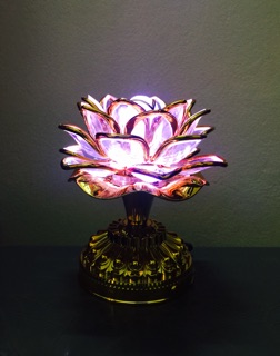 Đài niệm Phật 8 bài