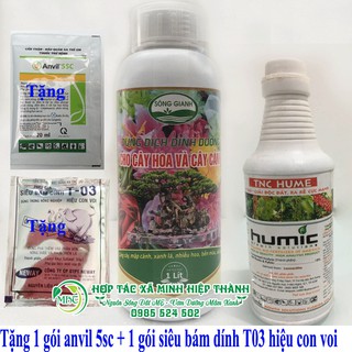 combo 1 chai dung dịch sông gianh 1 lít, 1 chai humic 500ml bộ sản phẩm chăm sóc hoa hồng
