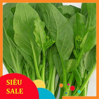 20g hạt giống cải ngồng vietphat