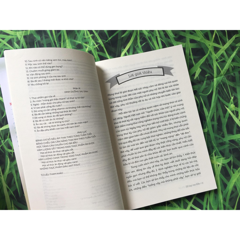 SÁCH - Sổ Tay Mẹ Bầu ( Tái Bản 2019) | BigBuy360 - bigbuy360.vn