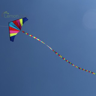 Đuôi diều màu cầu vồng 10m choDelta Kite Stunt