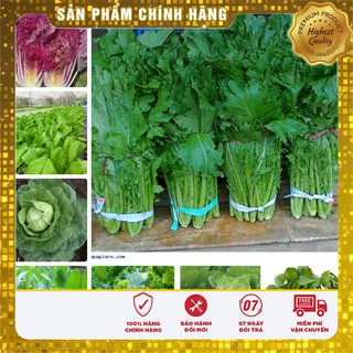 COMBO 12 LOẠI HẠT GIỐNG RAU VỤ ĐÔNG DỄ TRỒNG NHANH THU HOẠCH VIP 2